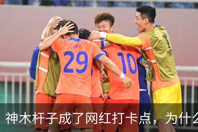 神木杆子成了网红打卡点，为什么要围起来？