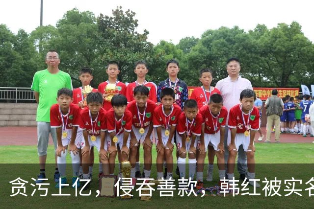 贪污上亿，侵吞善款，韩红被实名举报，6年了有人给她道歉吗？